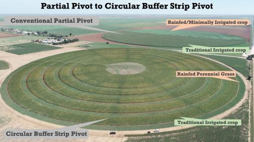 Circular Buffer Strip 