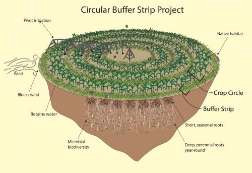 Circular Buffer Strip Project (labeled)